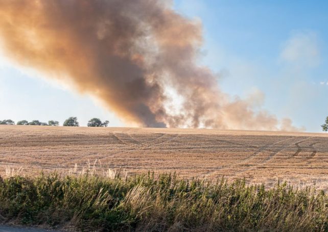 Climate change is triggering unprecedented wildfires in the UK 