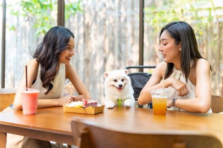 Where are the pet-friendly eateries in Macao?