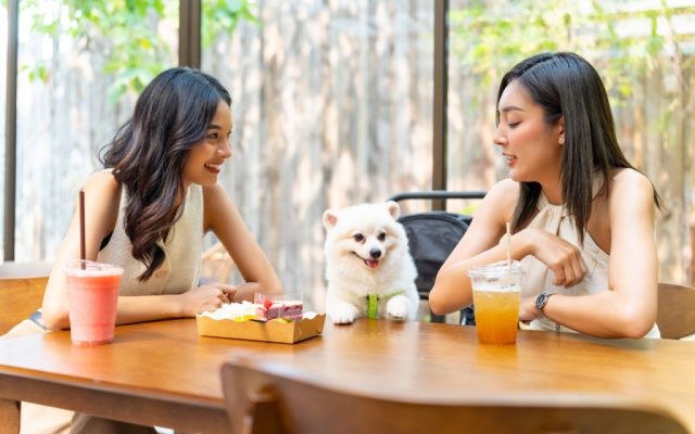Where are the pet friendly eateries in Macao?