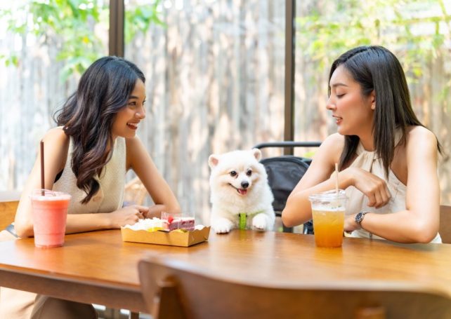 Where are the pet friendly eateries in Macao?