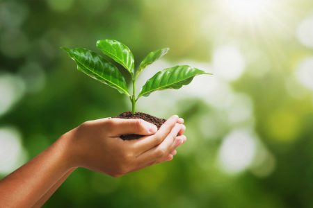 On World Environment Day, here are five things you can do in Macao to help the Earth