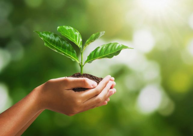 On World Environment Day, here are five things you can do in Macao to help the Earth