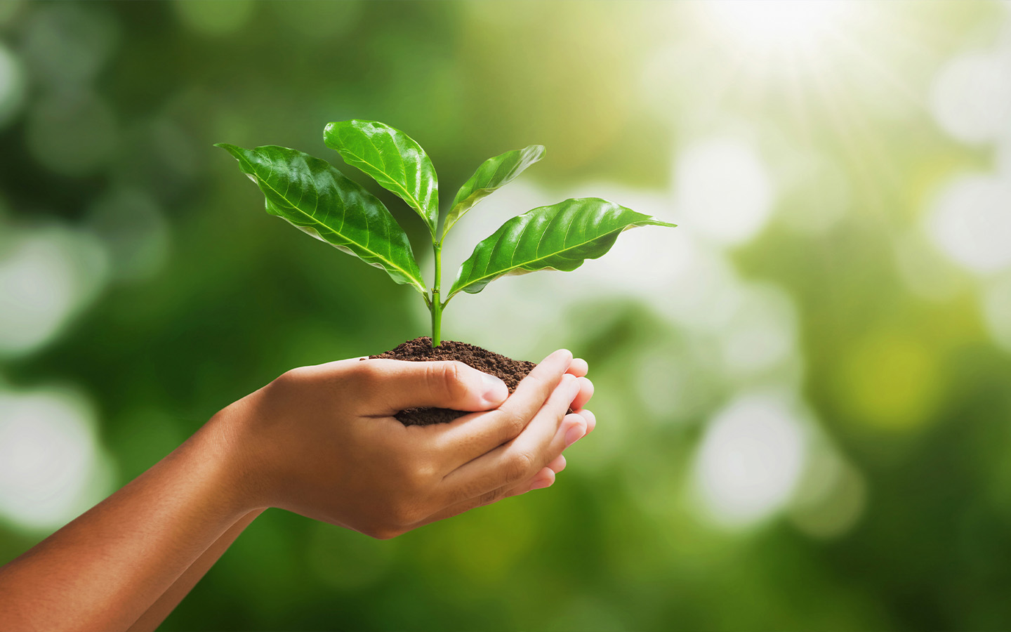 On World Environment Day, here are five things you can do in Macao to help the Earth