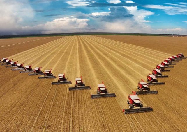 Brazil’s agriculture sector looks set for record harvests this year