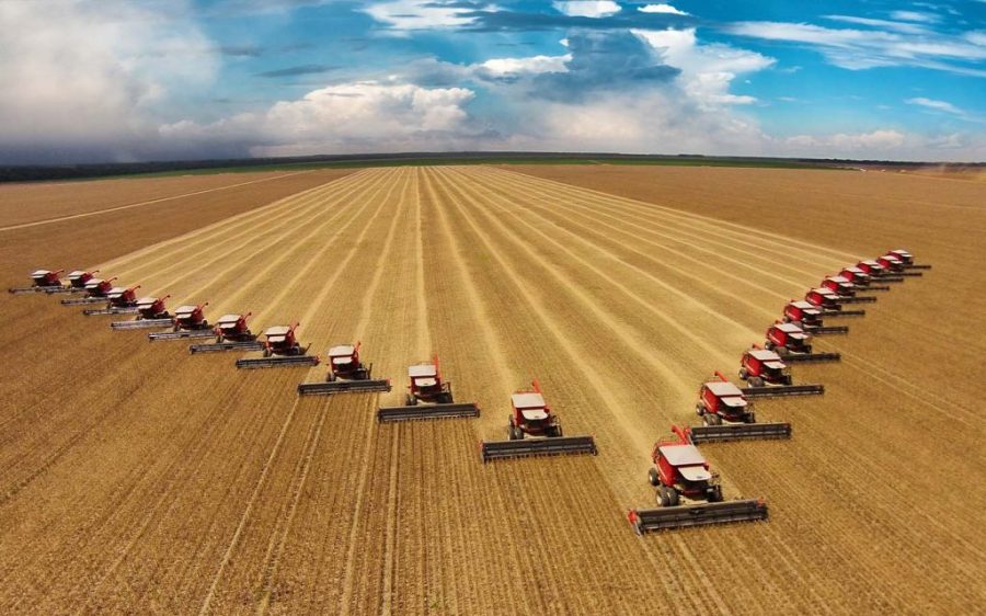 Brazil’s agriculture sector looks set for record harvests this year