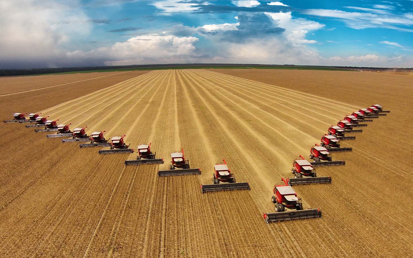 Brazil’s agriculture sector looks set for record harvests this year