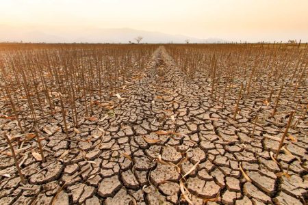 Areas around the world hit by drought have doubled since 1900, a new report finds