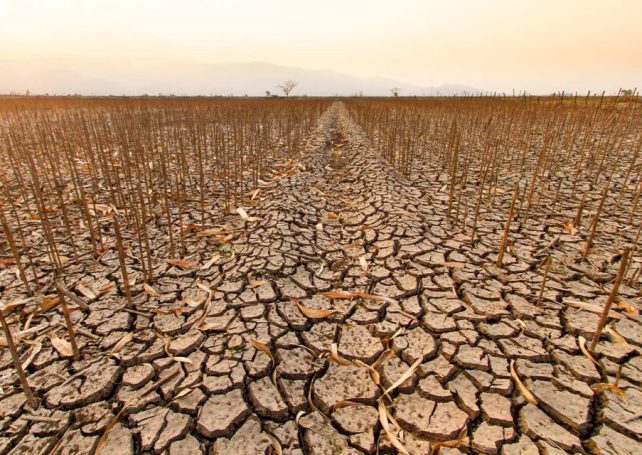 Areas around the world hit by drought have doubled since 1900, a new report finds
