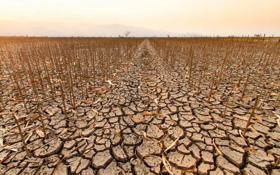 Areas around the world hit by drought have doubled since 1900, a new report finds