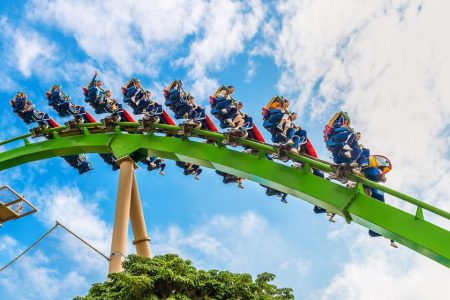 Hengqin could open a new theme park, says senior investment official
