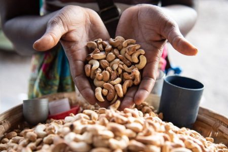 Mozambican cashew production is growing dramatically