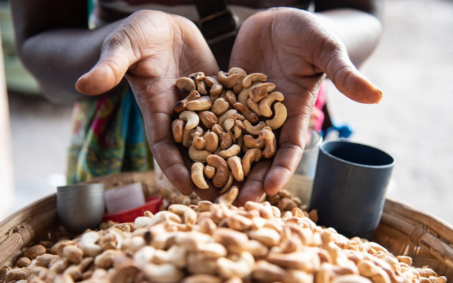 Mozambican cashew production is growing dramatically