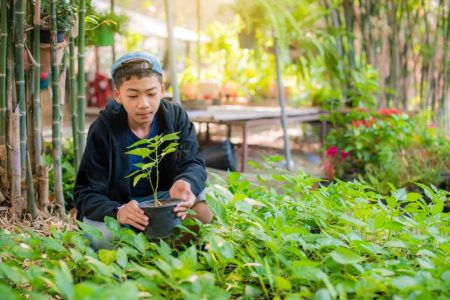 Getting out into nature improves brain development in teens