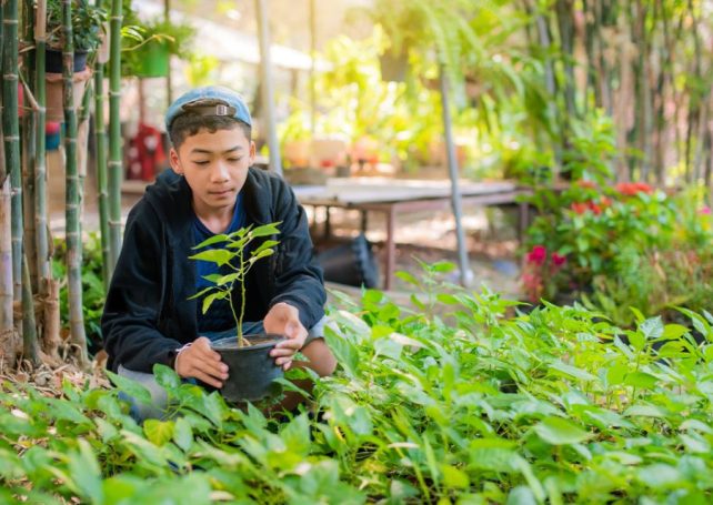 Getting out into nature improves brain development in teens, study says