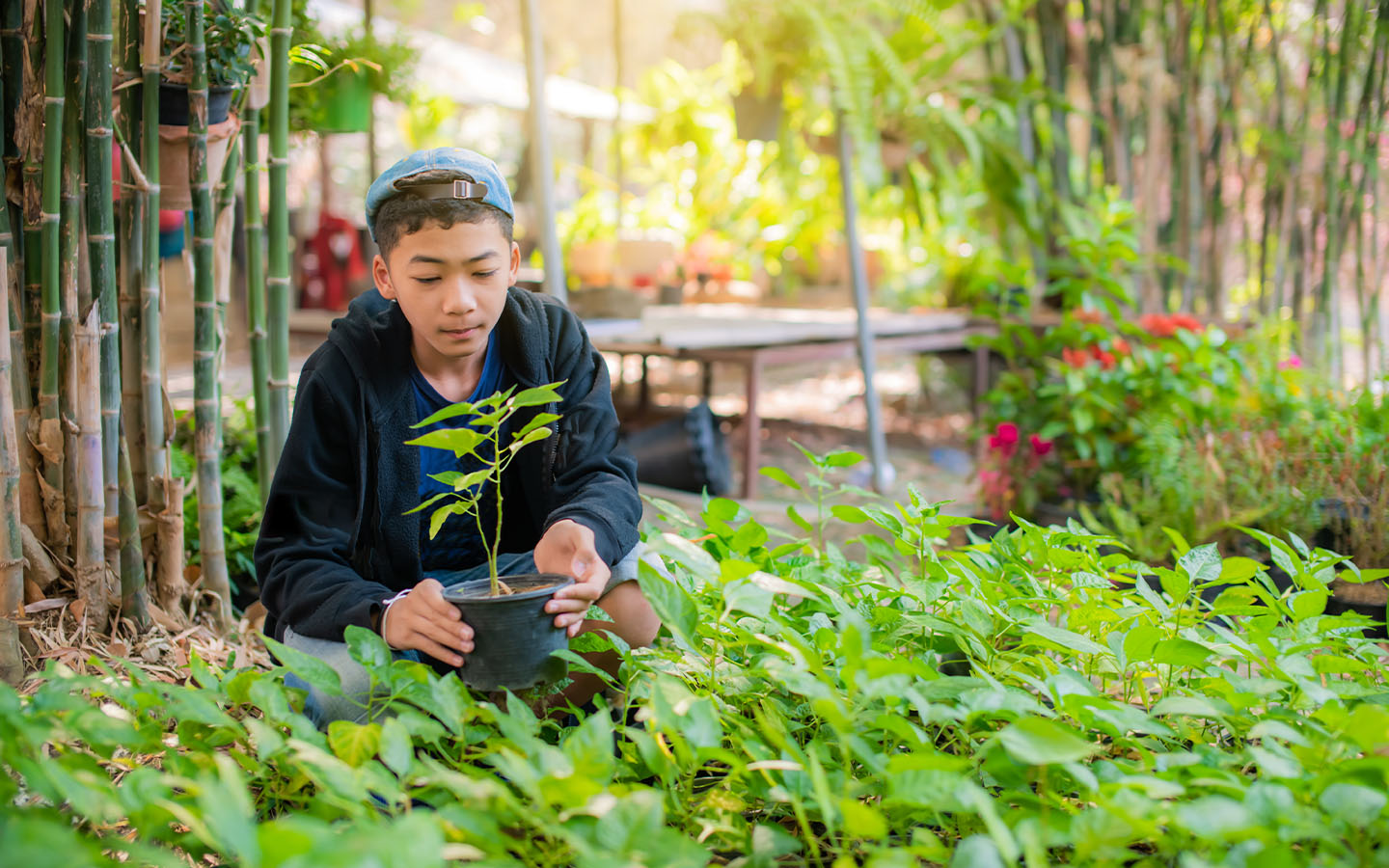 Getting out into nature improves brain development in teens, study says