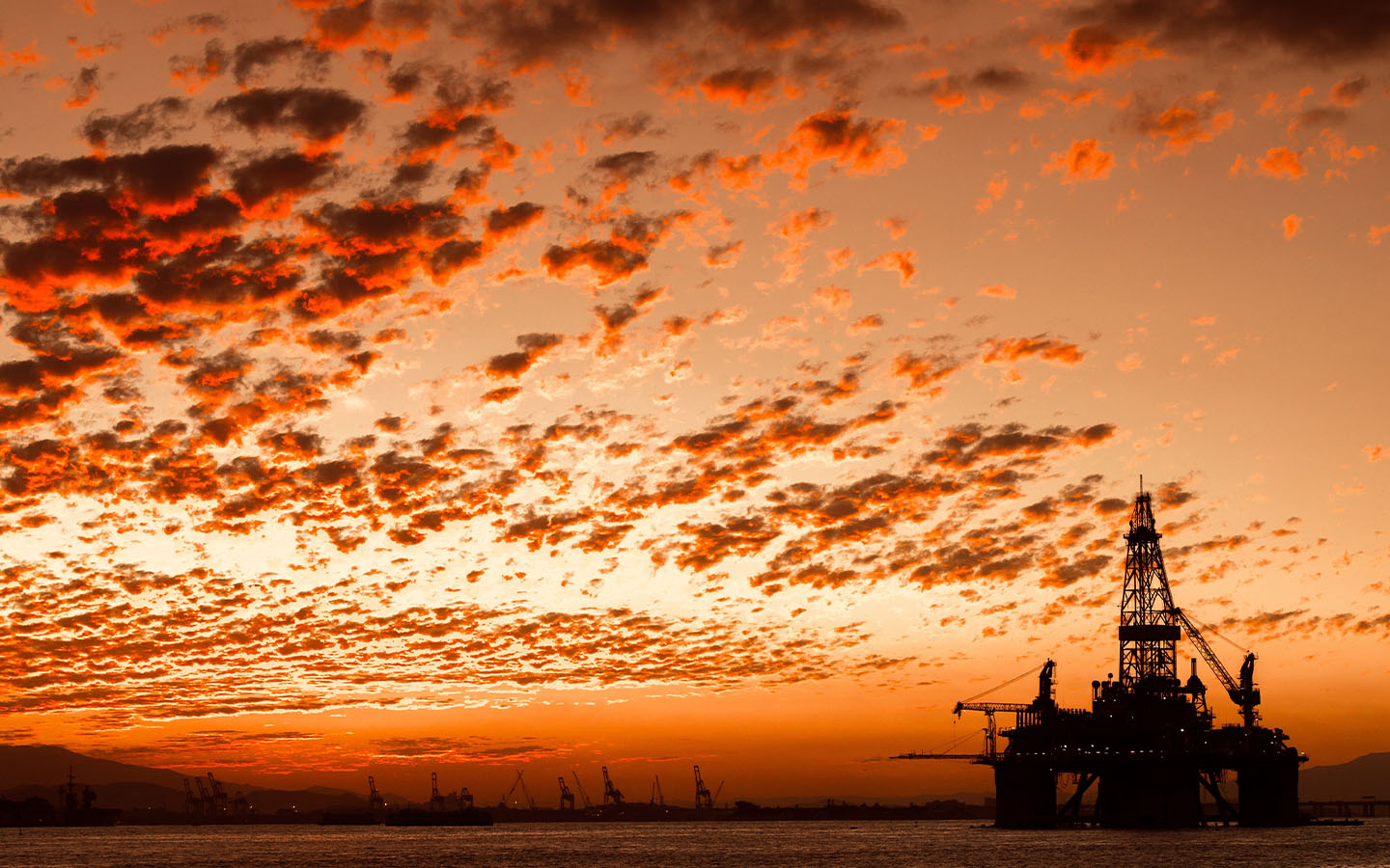 US and Chinese oil companies pay top dollar in ‘doomsday’ oil auction
