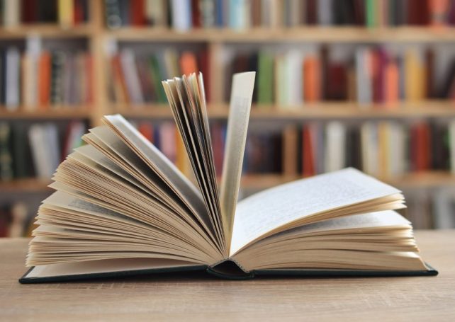 Debut novel by Yael van de Wouden takes Women’s Prize in Fiction