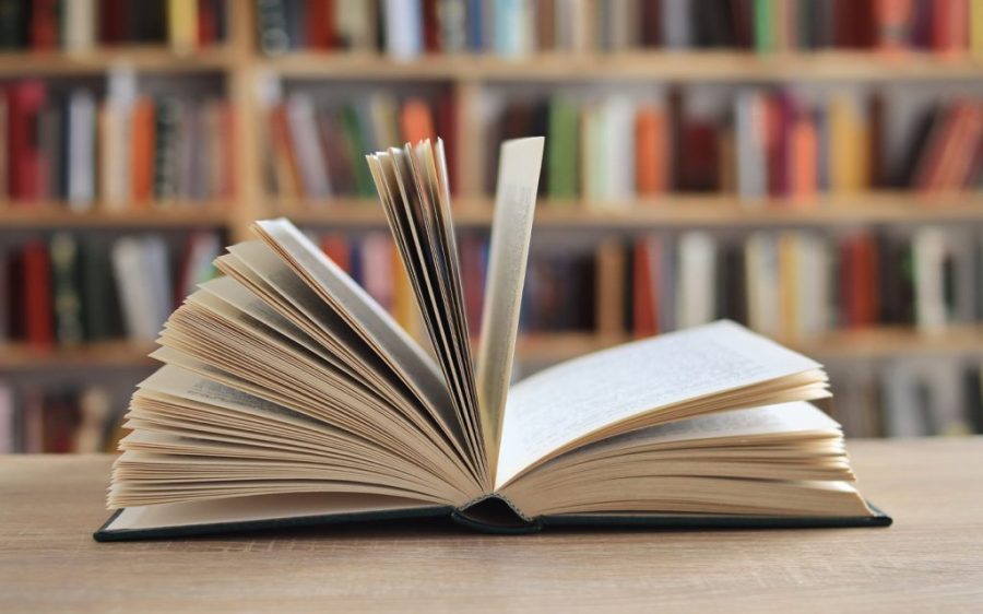 Debut novel by Yael van de Wouden takes Women’s Prize in Fiction