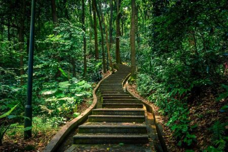 Five great places for hiking in the Greater Bay Area - Guanghou’s Baiyun Mountain