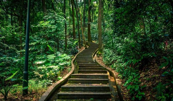 Five great places for hiking in the Greater Bay Area