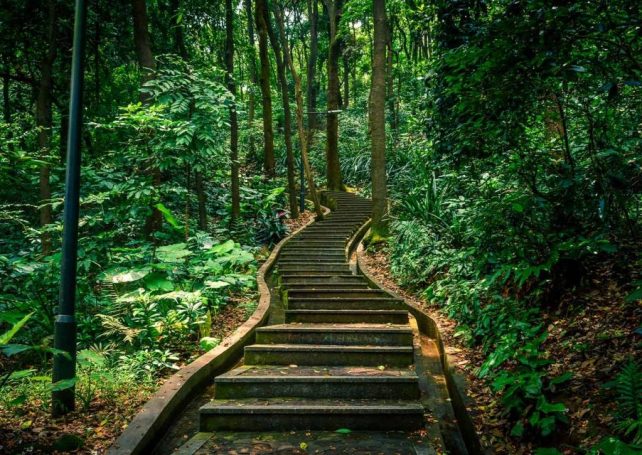 Five great places for hiking in the Greater Bay Area