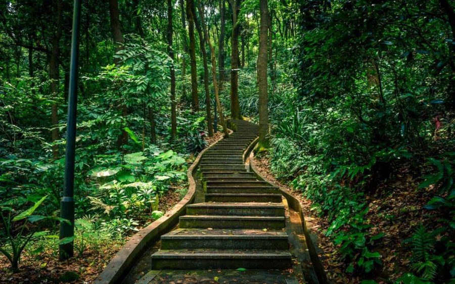 Five great places for hiking in the Greater Bay Area