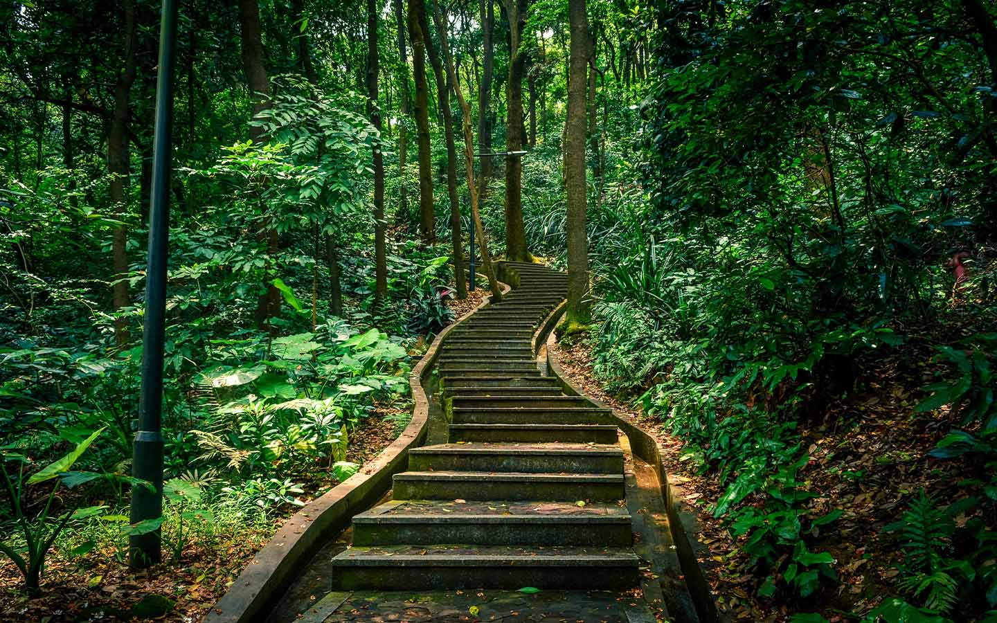 Five great places for hiking in the Greater Bay Area