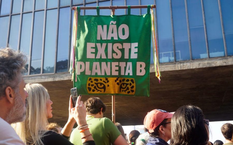 Brazilian legislature approves controversial environment bill