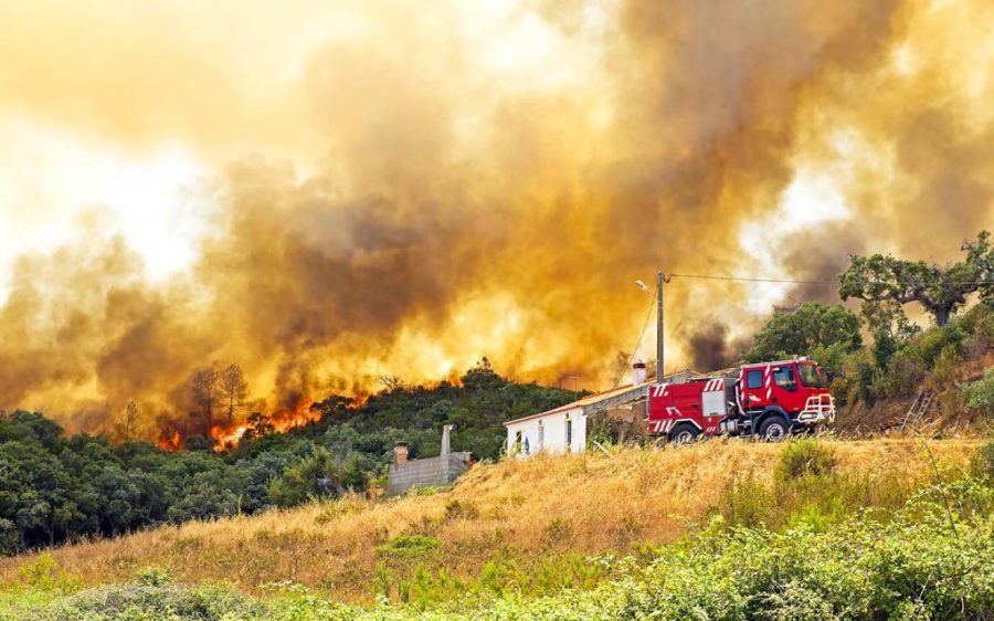 Fuelled by climate change, wildfires are sweeping across Europe