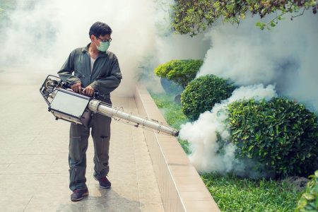 The GBA steps up vigilance as chikungunya outbreak spreads