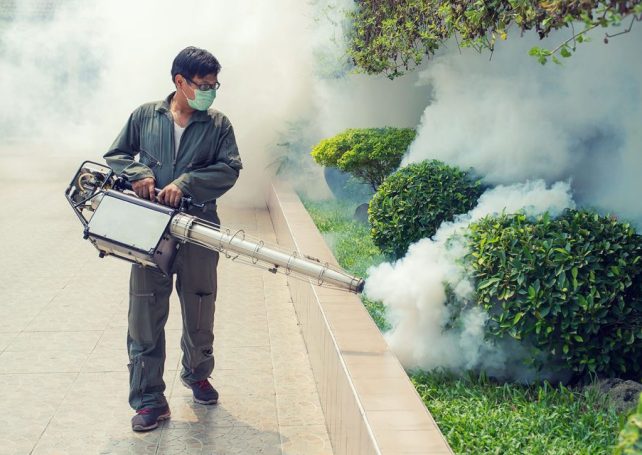 The GBA steps up vigilance as chikungunya outbreak spreads