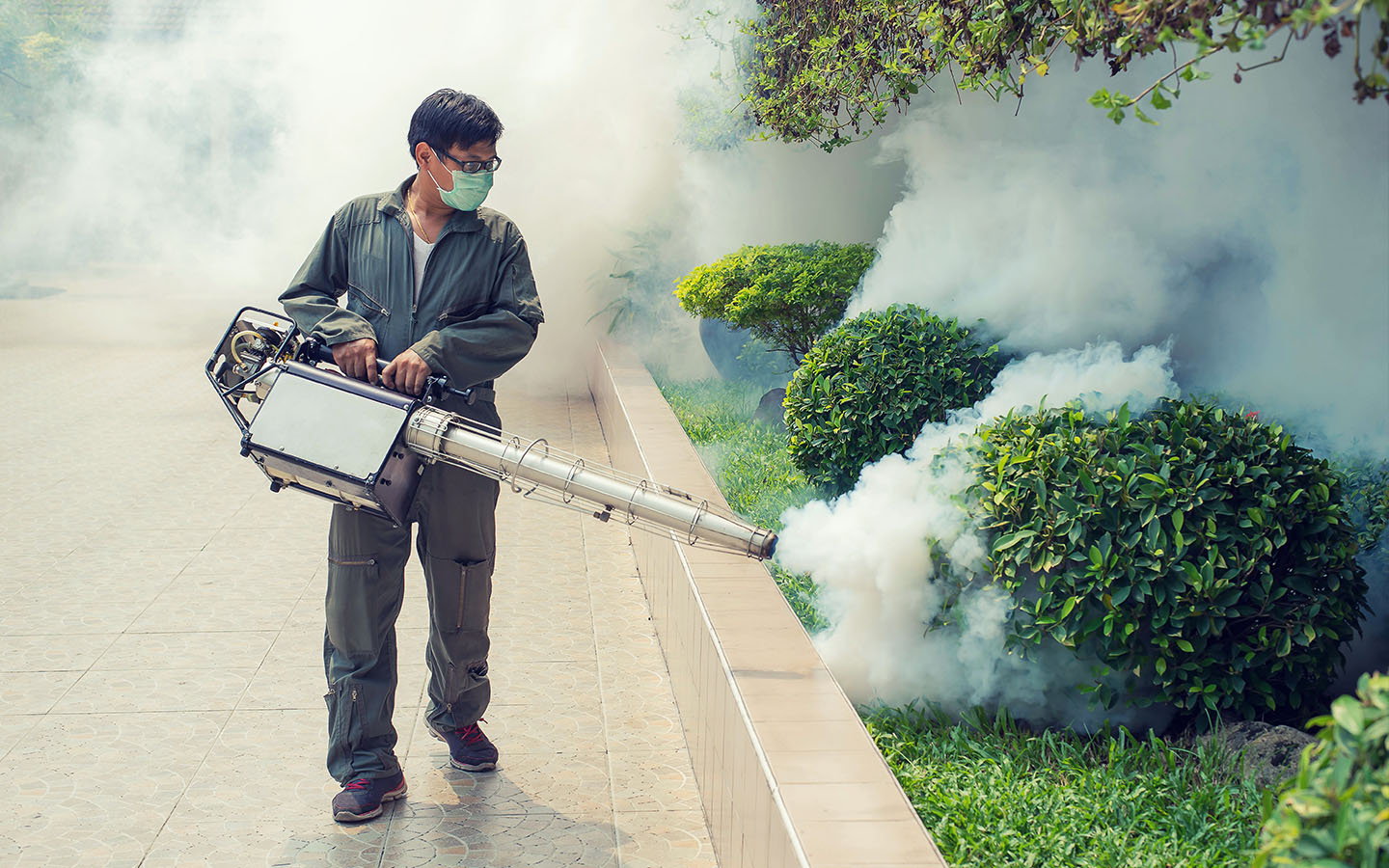 The GBA steps up vigilance as chikungunya outbreak spreads