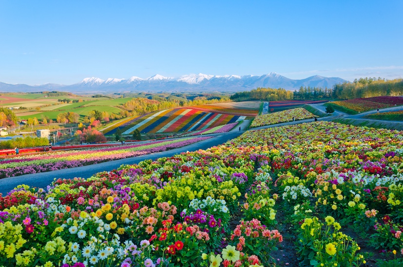 Where are the best travel destinations in Asia for a cooler summer?