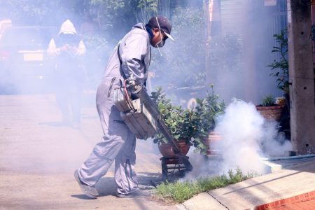 Macao ramps up preventive measures as regional chikungunya outbreak worsens