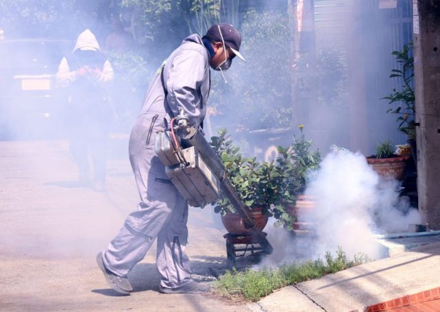 Macao ramps up preventive measures as regional chikungunya outbreak worsens 