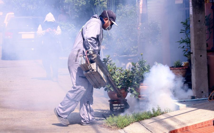 Macao ramps up preventive measures as regional chikungunya outbreak worsens 