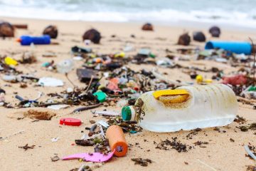 Rainfall and upstream flooding leave Macao’s coast swamped with rubbish