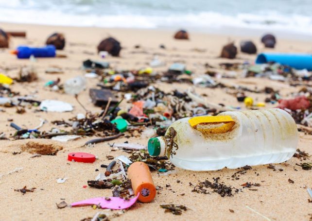 Rainfall and upstream flooding leave Macao’s coast swamped with rubbish