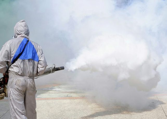 Macao watchful as Foshan’s chikungunya outbreak infects over 3,600 people