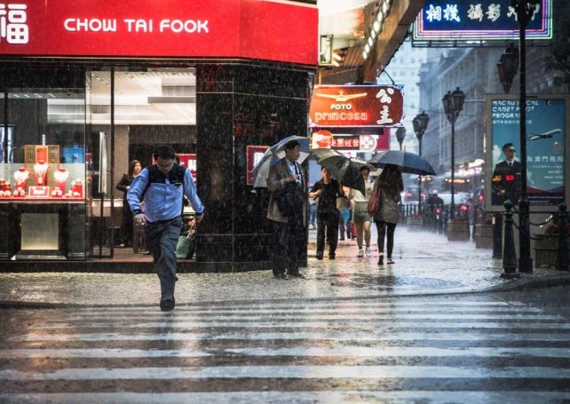 Typhoon signal no.1 to be raised ‘early Saturday’ as tropical storm Wipha nears