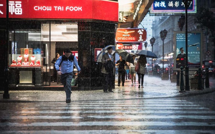 Typhoon signal no.1 to be raised ‘early Saturday’ as tropical storm Wipha nears