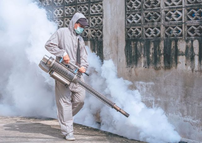 Macao remains on high alert as chikungunya fever spreads regionally 