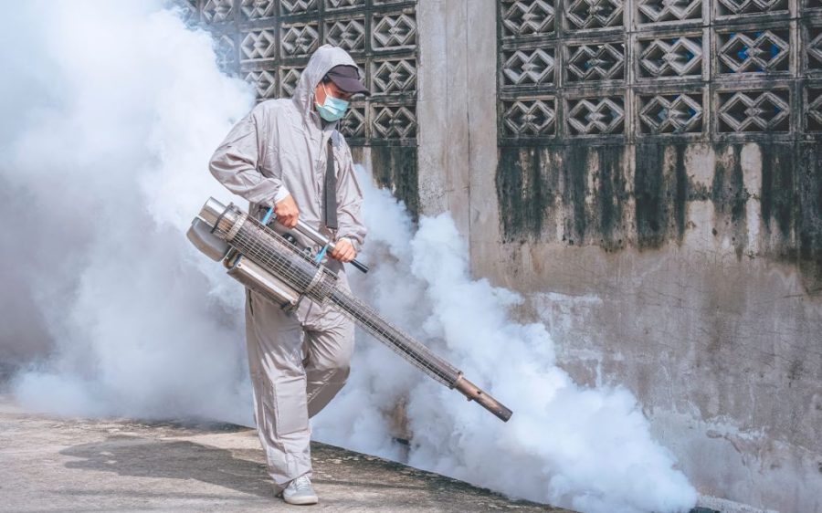 Macao remains on high alert as chikungunya fever spreads regionally 