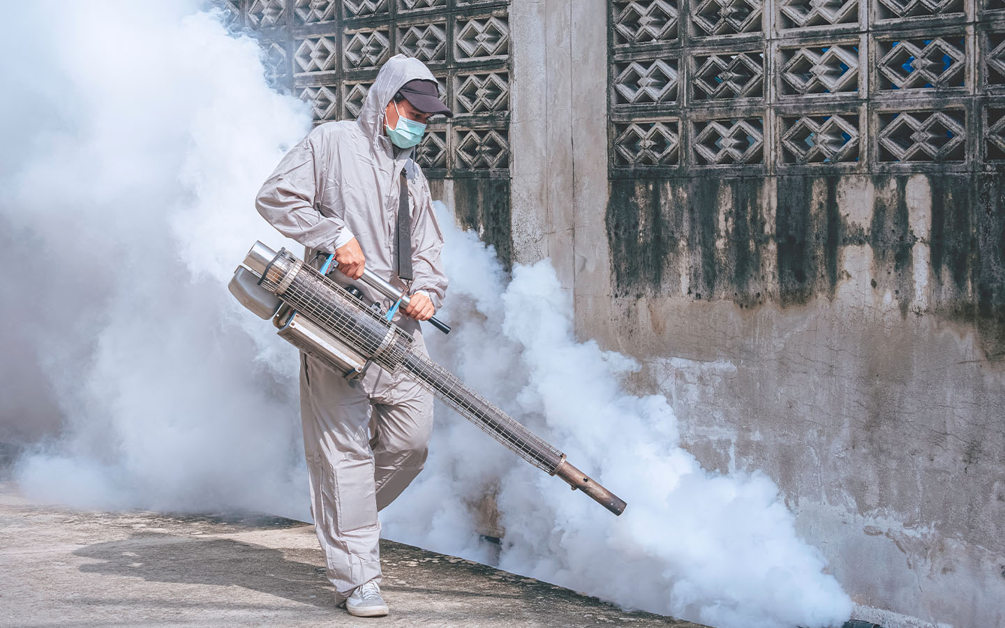 Macao remains on high alert as chikungunya fever spreads regionally 