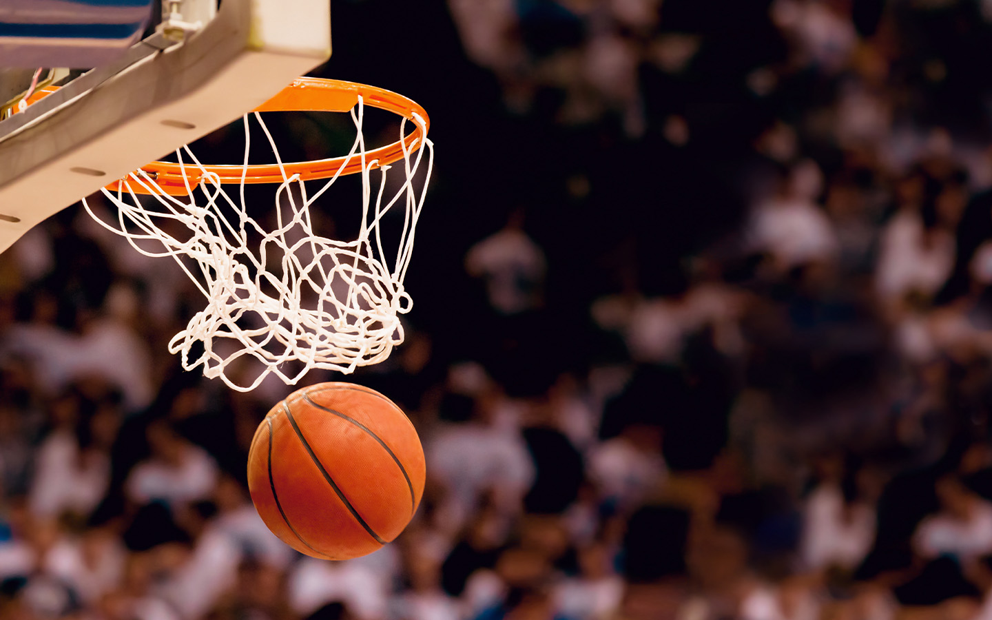 Macau Black Bears sign Filipino-US forward Quentin Millora-Brown
