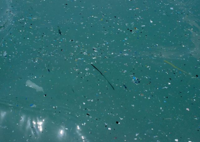 There are 27 million tons of nanoplastics floating in the North Atlantic