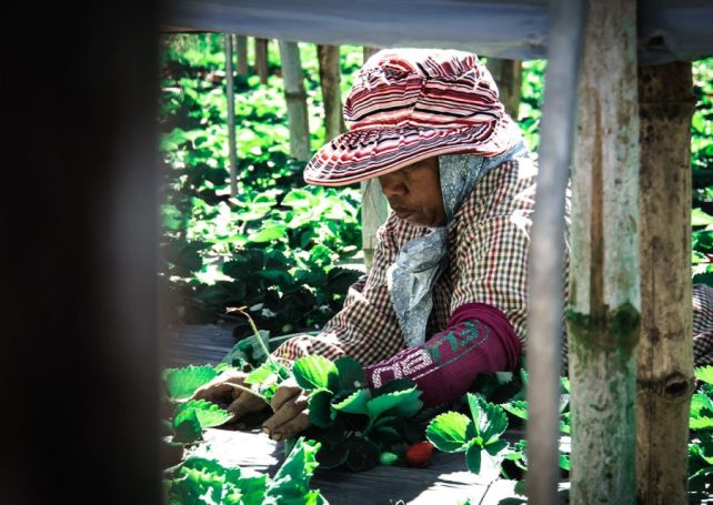 Macao’s Philippine migrant workers urged to invest in their country’s agriculture