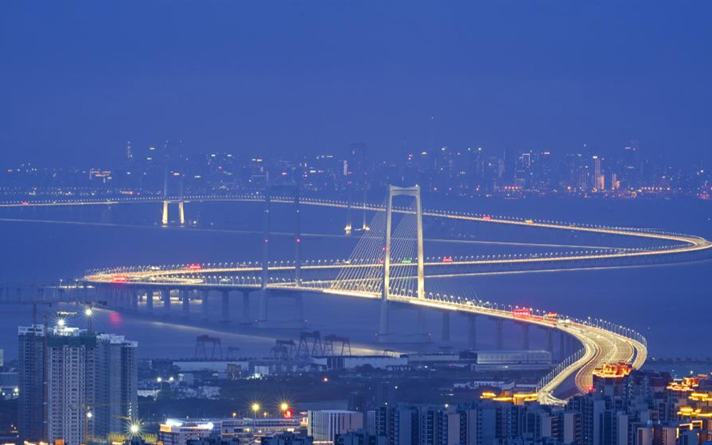 Shenzhen-Zhongshan Link: a year of GBA growth