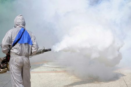 Here’s what to know about chikungunya fever, the disease that’s sweeping Guangdong
