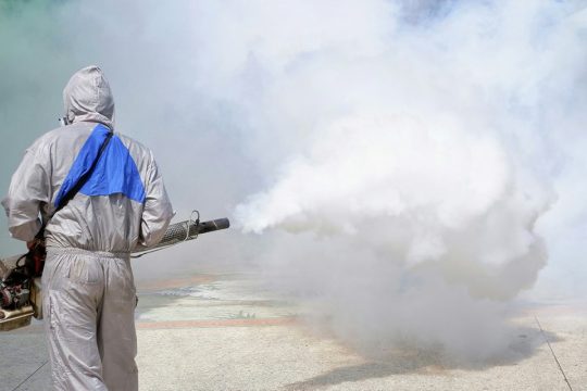 Here’s what to know about chikungunya fever, the disease that’s sweeping Guangdong